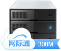 虚拟主机网际通M300